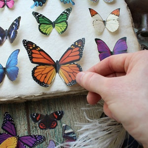 Assorted Realistic Butterflies Paper or Sticker Pre-Cut Choose Your Quantity image 7