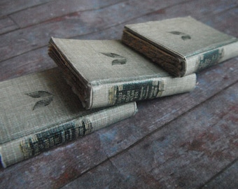 Miniatuurboekenset Edgar Allan Poe – gotisch poppenhuisdecor • Kleine gesloten boeken met drie delen • Poe-bibliotheekminiaturen voor curiosakast