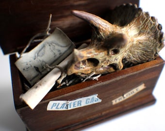 Miniature Dinosaur Skull – 1:12 Scale Fossil Replica • Natural History Decor • Dollhouse Curiosity Cabinet Specimen