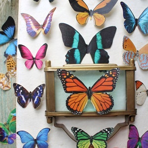 Assorted Realistic Butterflies Paper or Sticker Pre-Cut Choose Your Quantity image 9