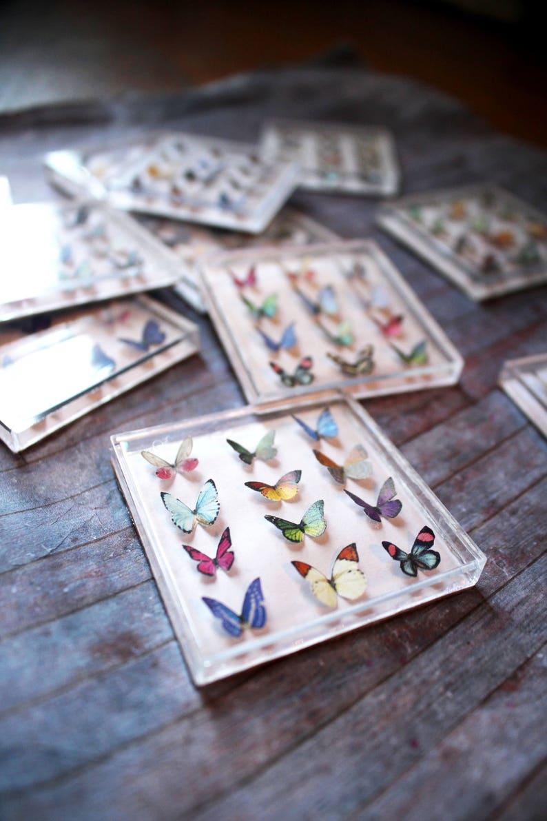 Miniature Butterfly Collection Original Artwork 3D Butterflies Dollhouse Decor 1-Inch Scale Miniatures image 5