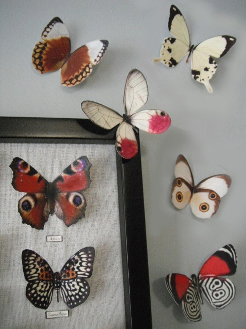 Paper Butterflies Etsy