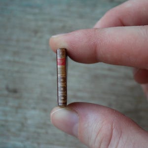 May include: A miniature book held between fingers. The book has a brown cover with gold accents and a red spine. The title is visible on the spine. The book is approximately 1 inch in height.