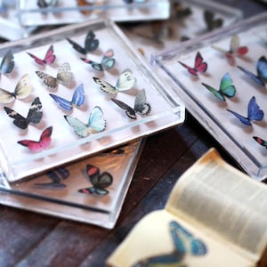 Miniature Butterfly Collection Original Artwork 3D Butterflies Dollhouse Decor 1-Inch Scale Miniatures image 6