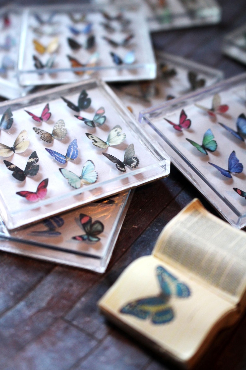 Miniature Butterfly Collection Original Artwork 3D Butterflies Dollhouse Decor 1-Inch Scale Miniatures image 6