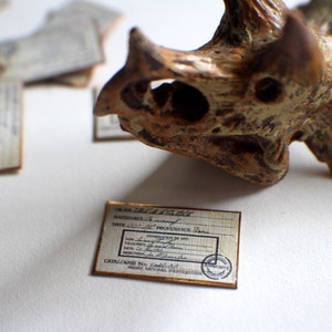 Miniature Sign --- Museum Placard