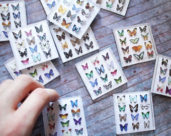 Miniature Butterfly Collection - Original Artwork - 3D Butterflies - Dollhouse Decor - 1-Inch Scale Miniatures