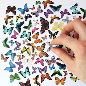 以下が含まれることがあります： さまざまなサイズとデザインの、カラフルな蝶のステッカーのコレクション。ステッカーは、青、オレンジ、黄色、紫など、さまざまな色を使用しています。手はステッカーの1つを手に取っている様子です。