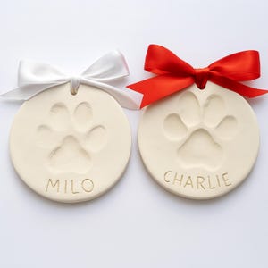DIY Paw Print Keepsake Kit, Pet Memory Ornament for Dogs and Cats, All Materials Included, DIY Pet Loss Sympathy Gift. Dog Paw Print.