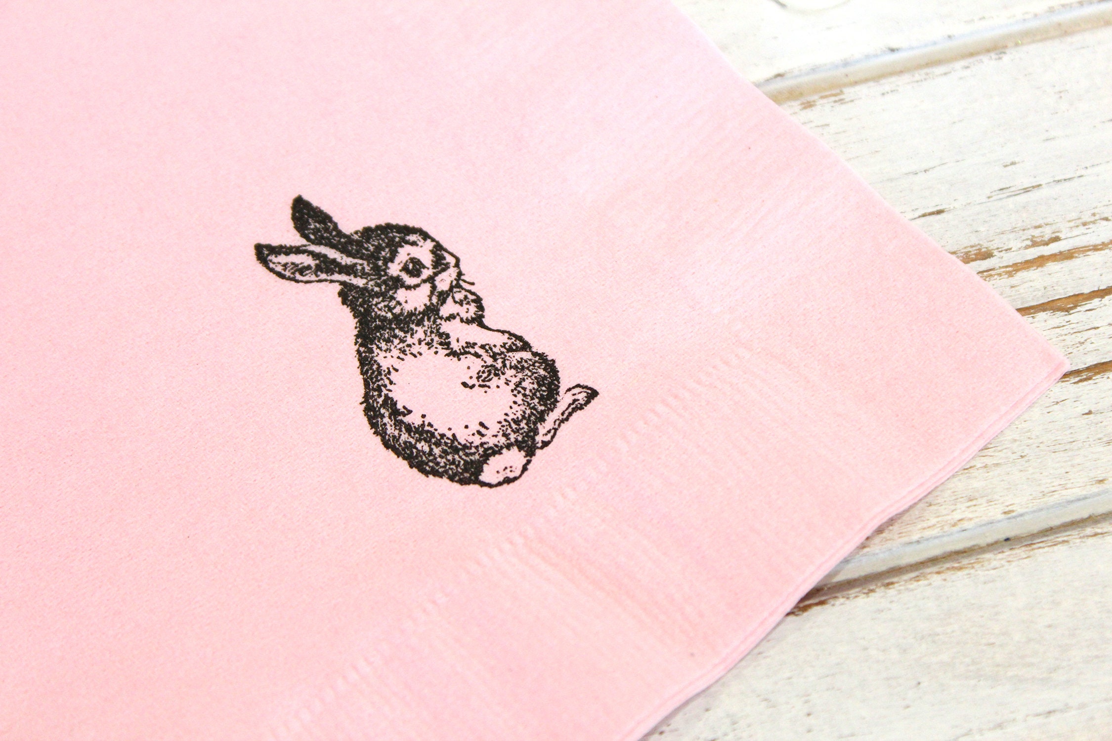 Bunny Party Napkins Set of 25 3 ply 14 fold Luncheon napkins Easter Bunny Bunny Rabbit little bunny