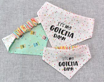 Pañuelo reversible para perro – Día de la Adopción, Adopción de Mascotas, Estampado Confetti Boba
