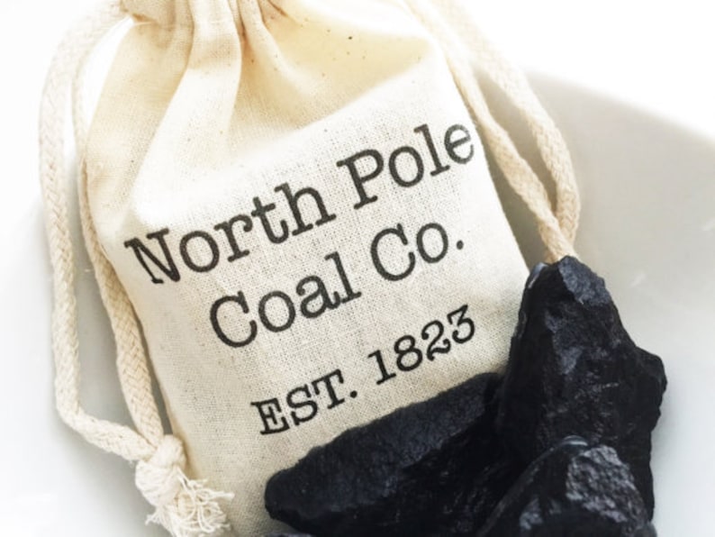 North Pole Coal Company Christmas Coal Gift Bags 4x6 Set of 10 christmas party favors secret santa gag gifts
