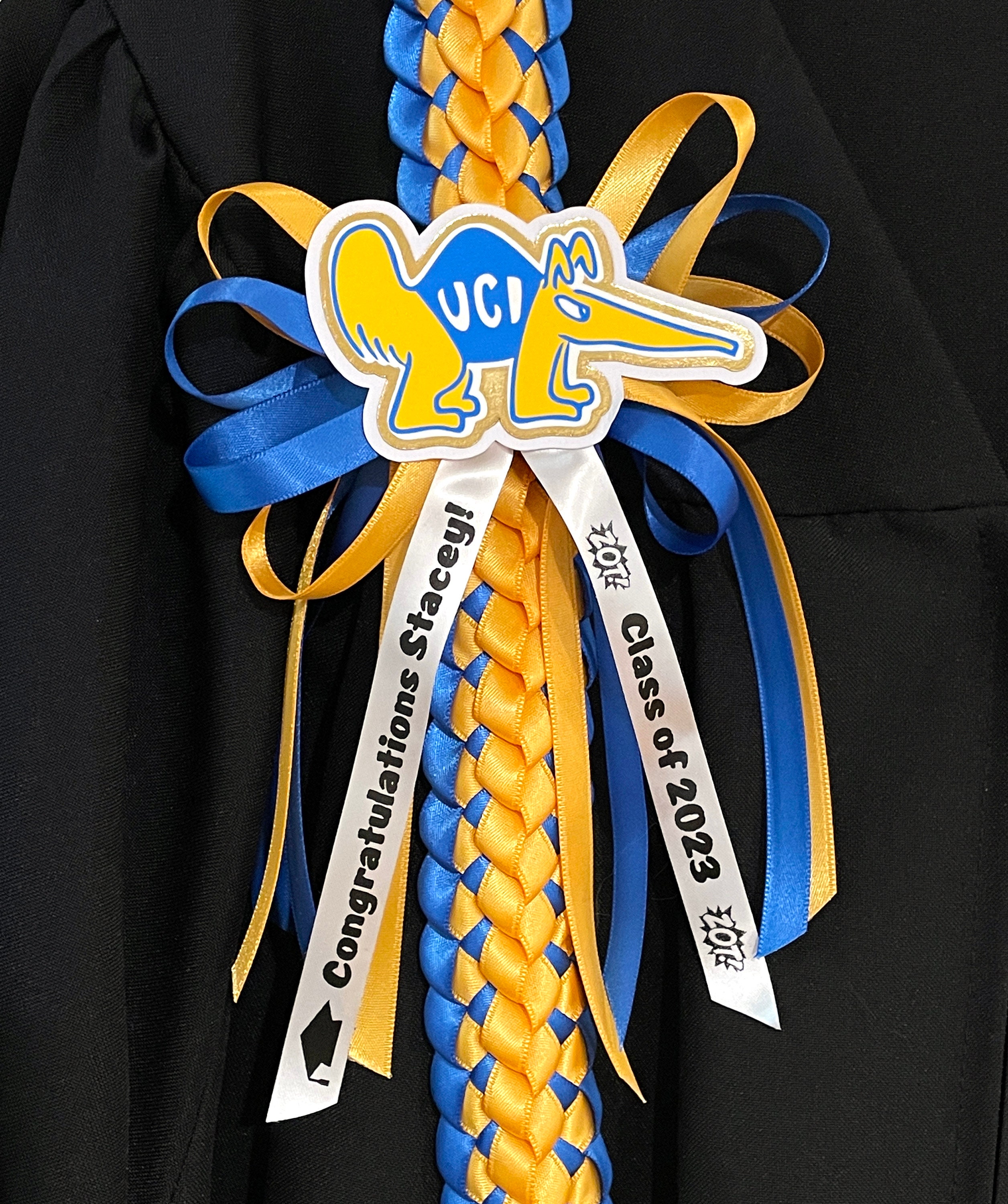 Abschluss-Lei - individuell an jedes College- oder Highschool-Logo und jede Highschool-Farbe angepasst - Personalisierter Lei, Klasse von 2025, Senior Night Lei
