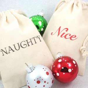Naughty or Nice Christmas Favor Bags 4x6- Set of 10 - Christmas party, gag gifts, gift bags, treat bags