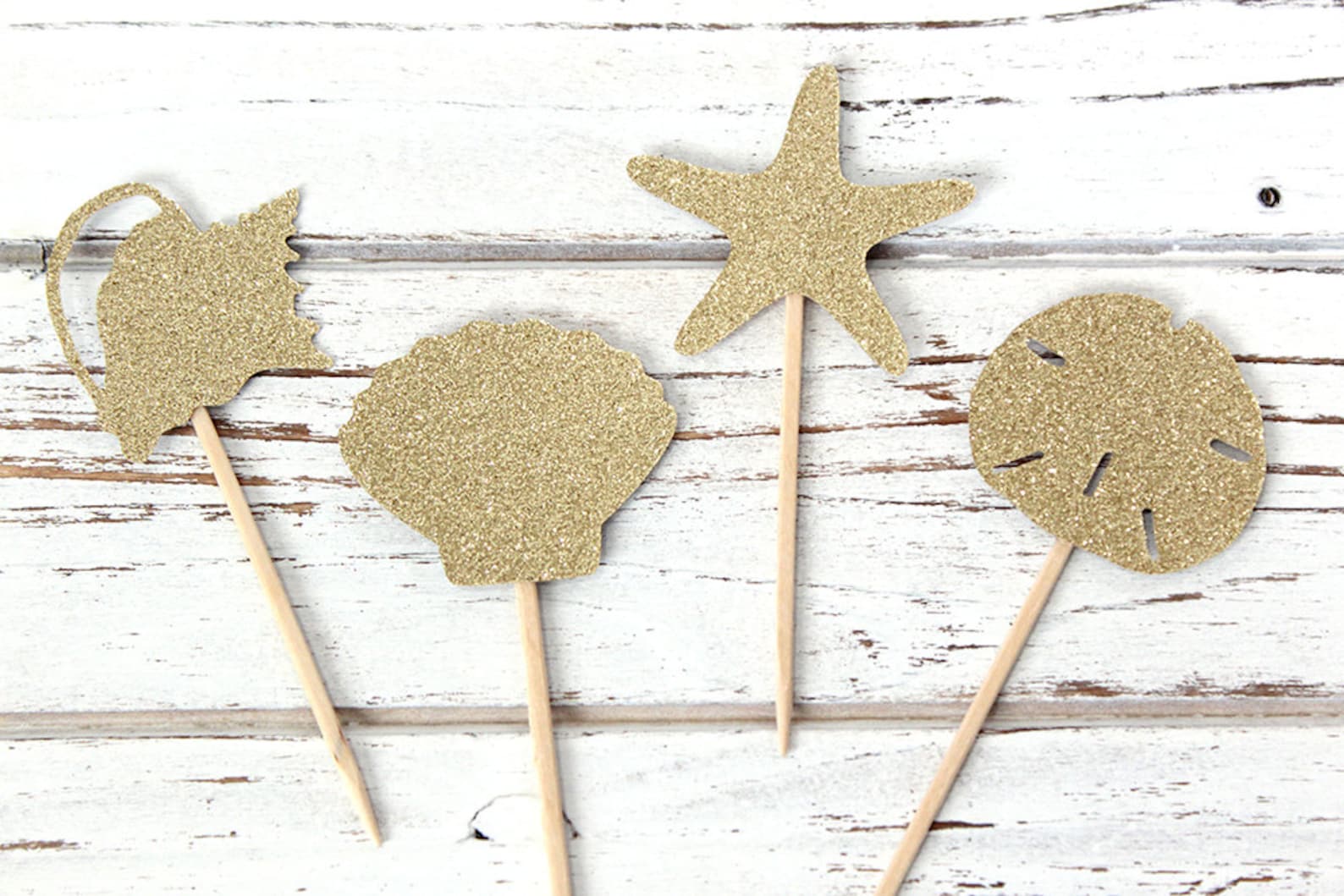 Seashell Cupcake Toppers Beach Shells Nautical Tropical | Etsy