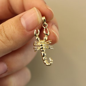 Pendentif Scorpion en or 14 carats, cadeau pour elle, minimaliste or, bijoux en or 14 carats, cadeau pour lui, breloque zodiaque Scorpion, collier astrologie, cadeau unique