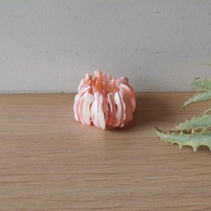 Peut inclure: Un bracelet en coquillages rose et blanc composé de nombreuses petites coquilles courbes. Le bracelet est posé sur une surface en bois.