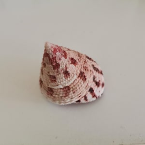 Puede incluir: Una pequeña concha de mar de forma cónica con un patrón rosa y blanco. La concha tiene una punta puntiaguda y una base redondeada.
