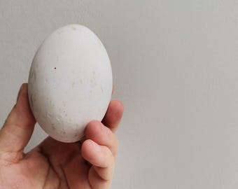 Vintage ceramic egg, white beige ceramic, easter egg, life size, big egg on ceramic base, vintage easter decor, easter egghunt large egg