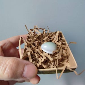 以下が含まれることがあります： 小さな白い虹色の卵形の物が、茶色の紙の巣の中に置かれています。巣は、緑と茶色の模様の小さな茶色の箱に入っています。