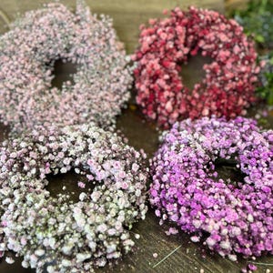 Op de afbeelding: Vier kransen gemaakt van gedroogde baby's breath bloemen. De kransen zijn in tinten roze, wit en paars.
