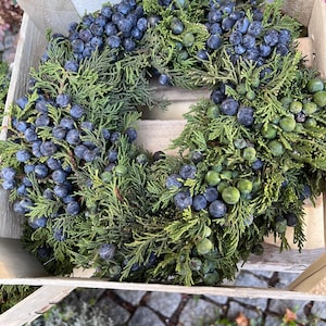 Könnte beinhalten: Ein kreisförmiger Kranz aus grünen Nadelbaumzweigen und Büscheln runder Beeren. Die Beeren sind überwiegend dunkelblau, wobei einige kleinere grüne Beeren im dichten, strukturierten Blattwerk verteilt sind.