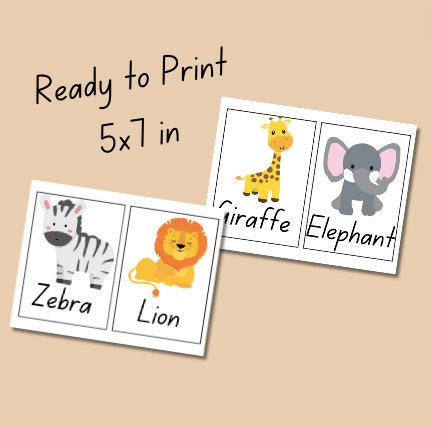 Preschool Zoo Animals Flashcards Toddler Zoo Animals Flashcards