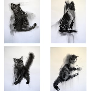 4 Koty oryginalne rysunki węgiel ilustracja 20x14x4 sztuki