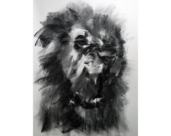 lion original Drawing charcoal painting illustration one of a kind handmade large art inch 40x28, not a print