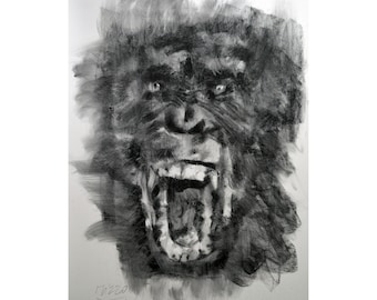 gorilla original Drawing charcoal painting illustration one of a kind handmade large art inch 40x28, not a print