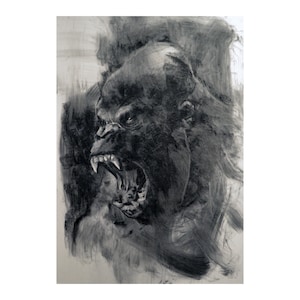 gorilla original Drawing charcoal painting illustration one of a kind handmade large art inch 40x28, not a print