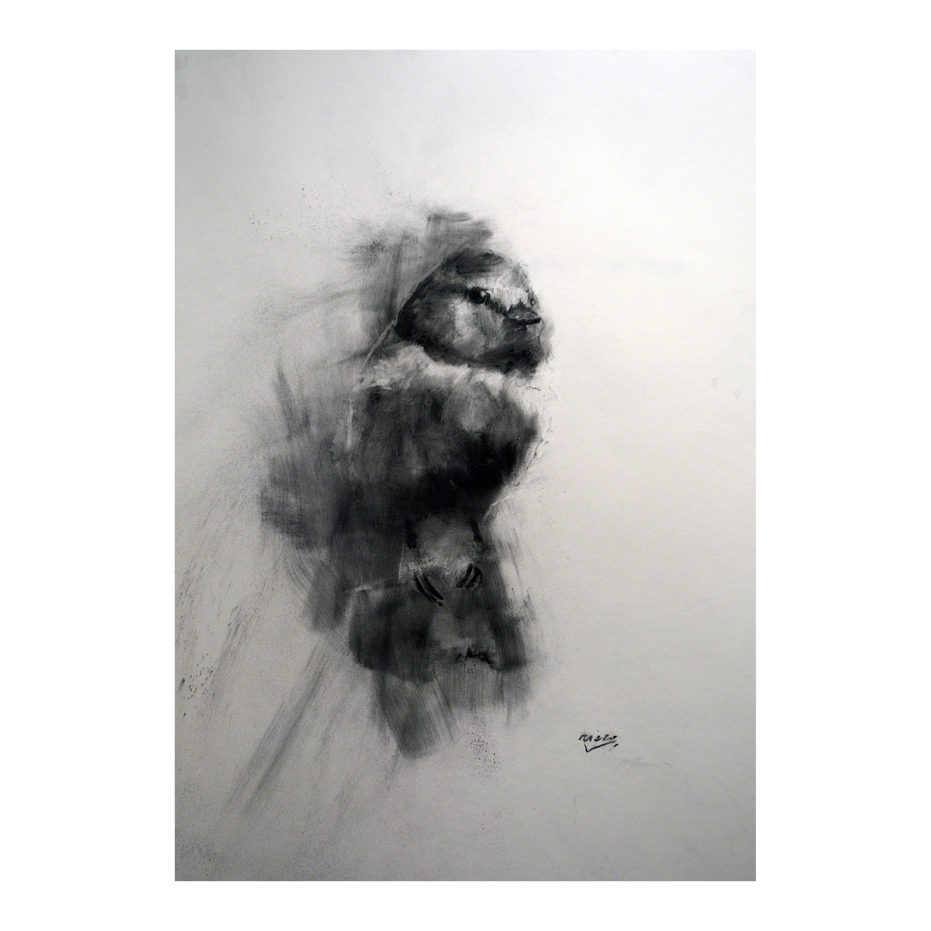 bird ORIGINAL Drawing charcoal painting illustration one of a kind handmade  large art inch 40x28, not a print