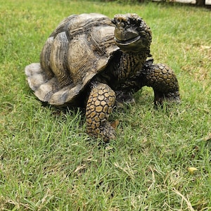 Large Turtle Garden Statue ,Outdoor Yard Art Decor,Reptile Turtle Sculpture Decor,Animal Statue Nursery Decor,Wild Life Decor,Exotic Animal