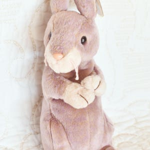 Vintage Springy the Bunny Mütze Baby, Springy the Rabbit, Springy the Bunny Rabbit, 2000er Jahre Mütze Baby, Frühlingskaninchen, kleine Kaninchenplüsch