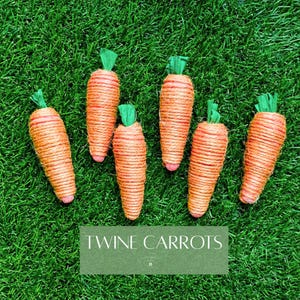 May include: Six handmade twine carrots with green tops and pink tips are arranged on a bed of green grass. The carrots are made of orange twine and are a decorative item. The text "TWINE CARROTS" is displayed on a green rectangle.