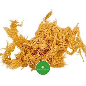 May include: A pile of dried, golden-brown sea moss against a white background. The sea moss has a tangled, fibrous texture. A green circle with the text "Nature's House" is in the lower right corner.