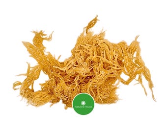 Raw Wild Harvested Sea Moss | Organic Jamaican Algae