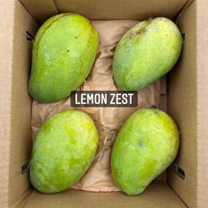Giant grafted Lemon Zest Mango live fruit Tree (Mango Irwin Injerto). (3-4ft) mangifera indica