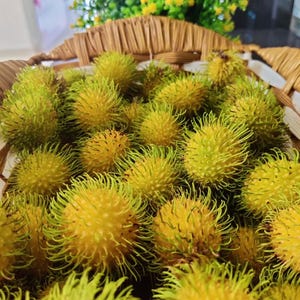 May include: A wicker basket filled with fresh rambutan fruit. The fruit is yellow-green with spiky, hair-like protrusions. The basket is brown and sits in front of a blurred background of greenery.