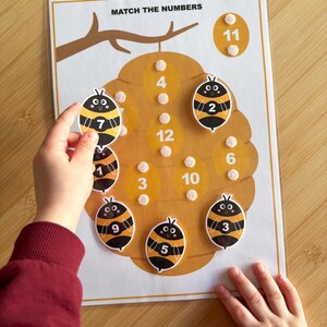 Frühlings-Tätigkeitsbuch für Kleinkinder, Bugs druckbares Buch, Vorschullernmappe Bild 6