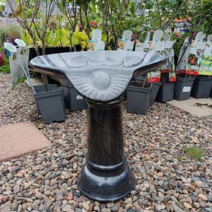 May include: A glossy black ceramic birdbath featuring a wide, shallow basin with a scalloped edge and a central pedestal base. The basin has a distinct shell-like decorative detail at the front rim, and the entire structure has a smooth, reflective finish.