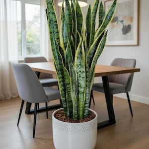 May include: A set of three ceramic nesting bowls in shades of blue, green, and white. The bowls have a speckled glaze and a simple, modern design. The largest bowl is approximately 18 cm in diameter.
