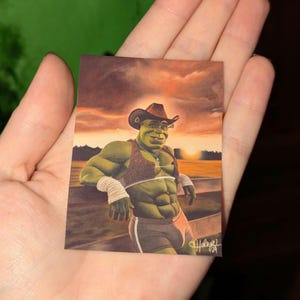 Geldbeutel Cowboy Shrek Print (2 Stück)