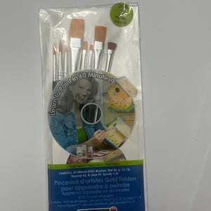Pode incluir: Um conjunto de pincéis e um DVD intitulado "Aprenda a Pintar em 60 Minutos!" com uma mulher pintando uma casa para pássaros. O DVD inclui três projetos de pintura e instruções sobre como usar os pincéis. Os pincéis são Gold Taklon e incluem os tamanhos 2, 4, 6, 12, 16, redondo 2, 4, liner 1 e scruffy 1/4 polegada.