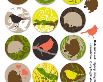 Instant Download - Birds, Gators, Squirrels and Hedgehogs Collage Sheet - 2 Inch Circles