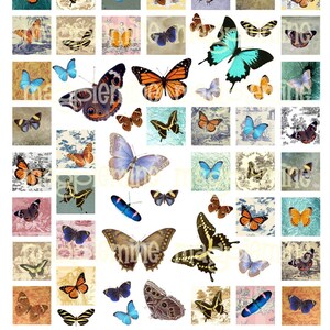 Digital Butterflies on Toile Background Collage Sheet One Inch Squares and Individual Moths and Butterflies Instant Download Printable image 2