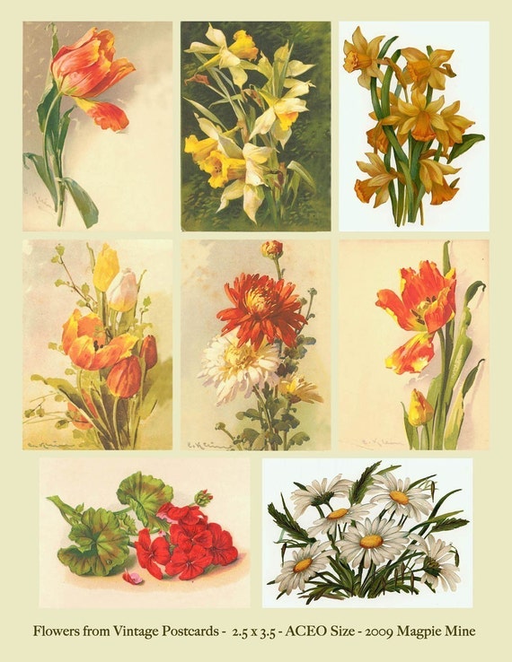 Vintage Blumen Collage Sheet Postkarten Fruhling Und Etsy