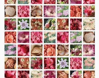 Pink Flowers and Shells Collage Sheet - One-Inch Squares - Instant Download - Printable