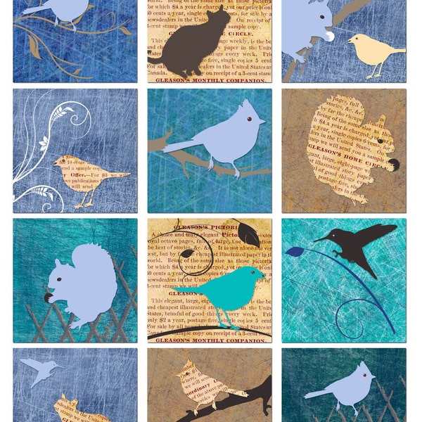 Birds and Animals - Grungy Vintage Newspaper - Square Backgrounds Collage Sheet - Instant Download - Printable