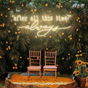 May include: A neon sign with the text "after all this time? always" in a white font against a green leafy backdrop. Two wooden chairs with pink cushions are placed in front of the sign.